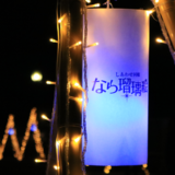 【Photo Album】しあわせ回廊なら瑠璃絵2017 & 奈良公園界隈 | Acca's Website