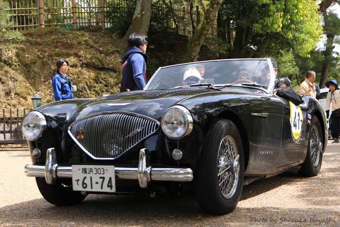 【Photo Album】La Festa Primavera 2018 in 奈良ホテル | Acca's Website